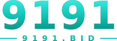 9191 logo